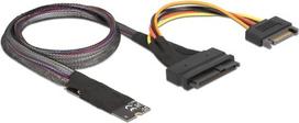 Delock M.2 Key M to U.2 SFF-8639 NVMe Adapter with 50 cm cable