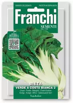 Lapiniai burokėliai (mangoldai) VERDE A COSTA BIANCA 2