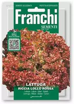Salotos sėjamosios RICCIA LOLLO ROSSA