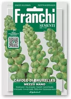 Briuselio kopūstai MEZZO NANO