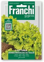 Salotos sėjamosios BIONDA RICCIOLINA