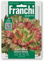 Salotos sėjamosios BISCIA ROSSA