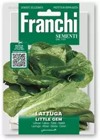 Salotos sėjamosios LITTLE GEM