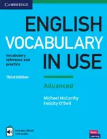 KNYGA Michael Mccarthy English Vocabulary in Use: Advanced Book with Answers and Enhanced eBook