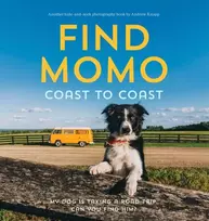 KNYGA Andrew Knapp Find Momo Coast to Coast