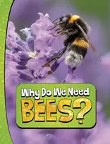 KNYGA Laura K Murray Why Do We Need Bees?