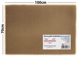 Vandeniui atsparus kačių kraiko kilimėlis 70x100