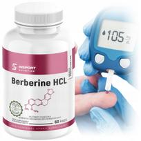 Maisto papildas INSPORT Berberine HCL 500 mg, 60 kapsulių