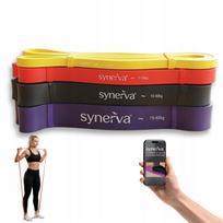 4 pasipriešinimo gumų rinkinys Synerva su e. knyga