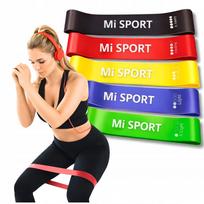 Atsparumo gumų rinkinys 5 vnt. tempimo pratimams, 30 cm mini juostos
