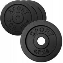 Ketaus svorių rinkinys 4x2,5 kg, iš viso 10 kg, 28 mm