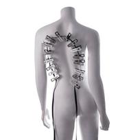 BDSM segtukų-užtrauktuko rinkinys Sportsheets Edge Body Zipper Clothes Pins, sidabrinis