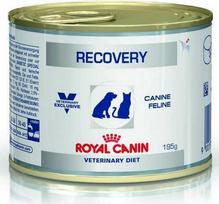 Royal Canin Recovery Wet dog and cat food Mousse Poultry, Pork 195 g