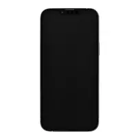 Apple iPhone 13 Pro Max 6,7 col. Dual SIM iOS 15 5G 256GB Auksinis Atnaujintas (Refurbished)