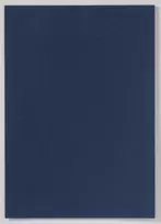 LMG Signaltechnologie 100 vnt. A4 mėlyni segtuvų kieti viršeliai, kartonas, 250 g/m²