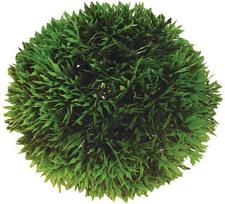 Hobby Aquaristik 9 cm plastikinis augalų kamuolys
