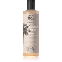 Urtekram Sweet Ginger Flower drėkinamasis šampūnas nuo pleiskanų su alavijų ir imbierų ekstraktais 250 ml
