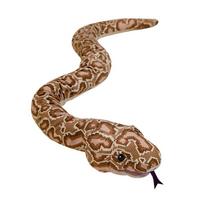 120/170cm Brown Boa Plush Hand Puppet Stuffed Long Snake Scary Wild Long Animal Interactive Stage Prop Decor Men Gift 120cm hand puppet