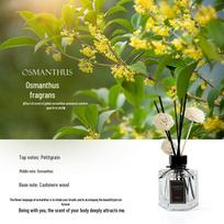 Twisted Lily Westhill White Tea Flameless Aroma Diffuser - Long-lasting Bedroom & Hotel Fragrance for Men 120ml