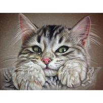 5D „pasidaryk pats“ deimantinis paveikslas Mielas mažos storos katės deimantinis siuvinėjimas kryželiu namų dekoras, rankų darbo dovanos Round 20x30cm