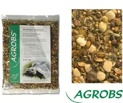 Agrobs TESTUDO Šalotinės sėklos 100g