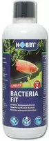 Hobby Aquaristik HOBBY BACTERIA Fit 500 ml