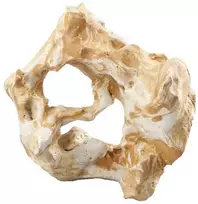 ebi Dekoratyvinis akmuo Combo Fellas L 28,5 x 20,5 x 27,5 cm