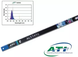 ATI Actinic 24W 550mm T5 lempa