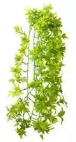 Hobby Terraristik HOBBY Karpinės gebenės 70cm, plastikas