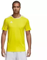 adidas Entrada 18 marškinėliai futbolui CD8390