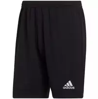 Vyriški šortai Adidas Entrada 22 M H57504