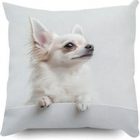 Cute White Chihuahua Dog Pillowcase Realistic Pet Animal Cushion Cover Home Decor for Living Room Bedroom Sofa 40cmx40cm