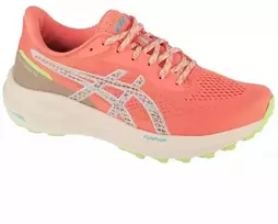 Asics GT-1000 13 TR W 1012B828-700 bėgimo bateliai
