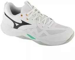 Mizuno Wave Momentum Pro V1GA254021 Balti 41