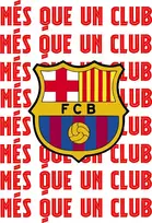Nike FC Barcelona Crest marškinėliai M HQ8396-455