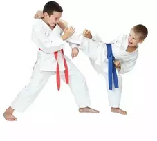 Karate kimono vaikams + nemokamas diržas - DBX BUSHIDO ARK-3102 120 cm
