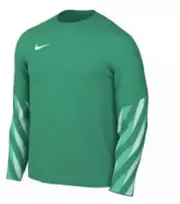 Nike Dri-FIT Park V marškinėliai ilgomis rankovėmis HV8314-324