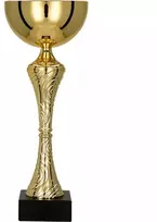 Auksinis metalo puodelis