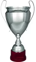 Sidabrinis metalinis puodelis TS