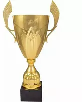 Auksinis metalinis puodelis 4126F