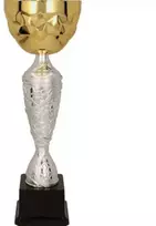 Auksinės ir sidabrinės spalvos metalinė taurė 4186D