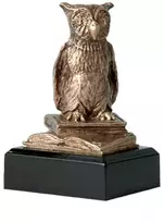 Lietos figūrėlės mokyklai - pelėda - mokymasis RTY630/BR