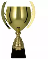 BATIKA auksinis metalinis puodelis