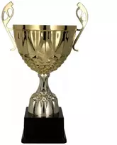 MUFA auksinio metalo puodelis