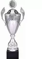 Auksinis metalinis puodelis su dangteliu 4127/CP