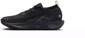 Nike Moterims REACTX PEGASUS TRAIL 5 GTX (FQ0912-002)