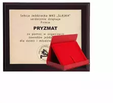 Plastikinis diplomas su graviravimu ant laminato ir dėklu 355x300 mm