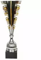 Sidabro ir aukso spalvos metalinė taurė