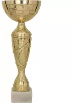 Aukso spalvos metalinė taurė 9098E