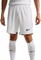 Šortai vyrams Nike Dri-Fit lazerinis VI balta HV8244 100 (M)